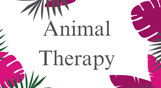 Animal Therapy at Drovers Call